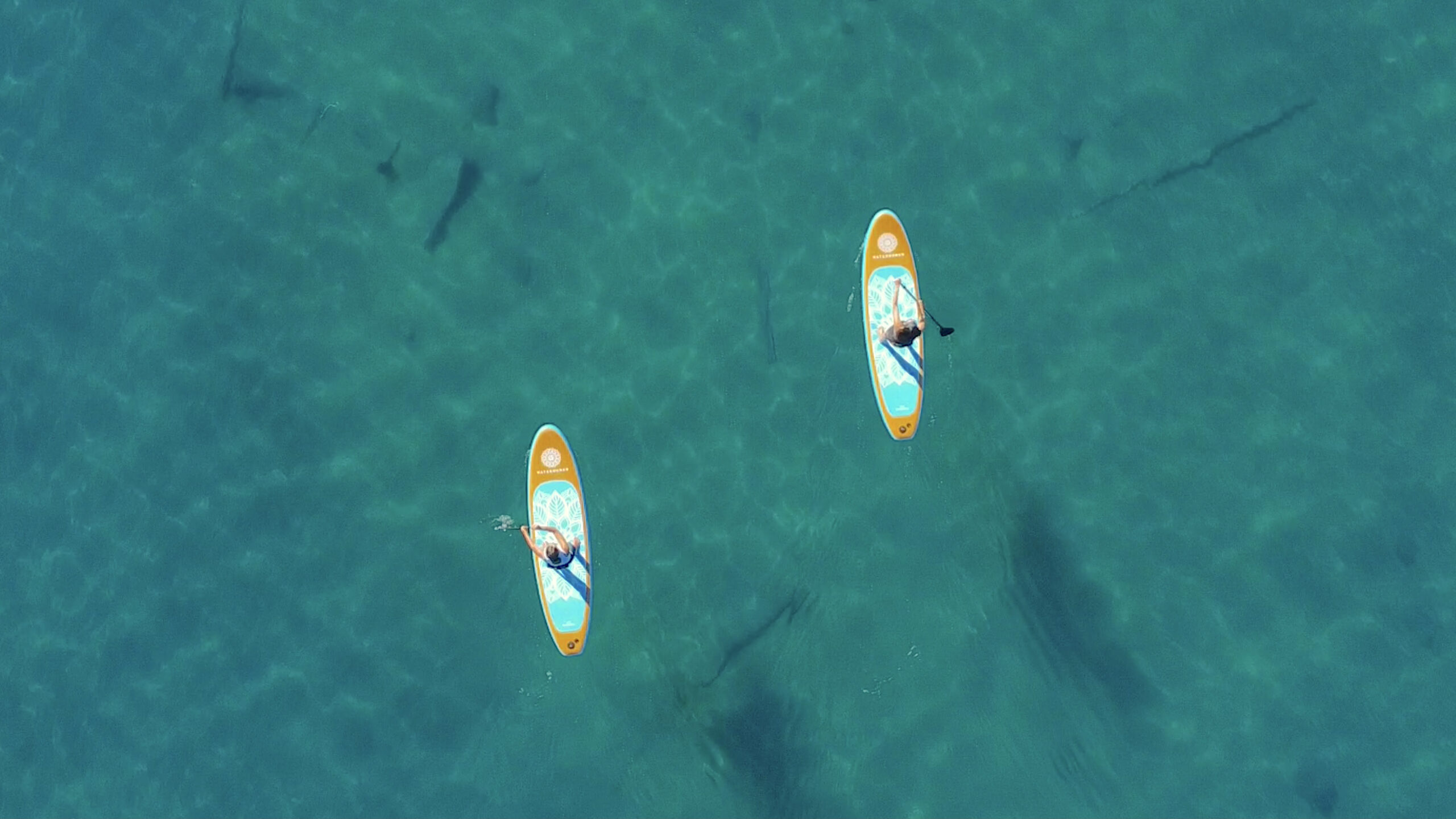 lake mead willow beach paddle boarding rentals tours las vegas kayak