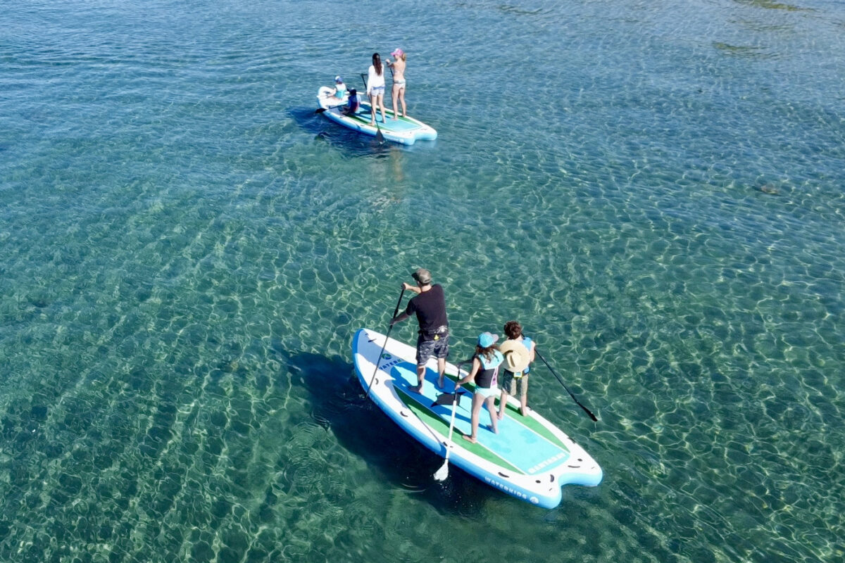 Paddle Board Rentals