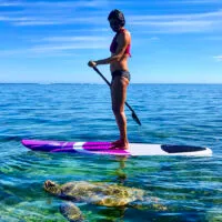 paddle board instructor
