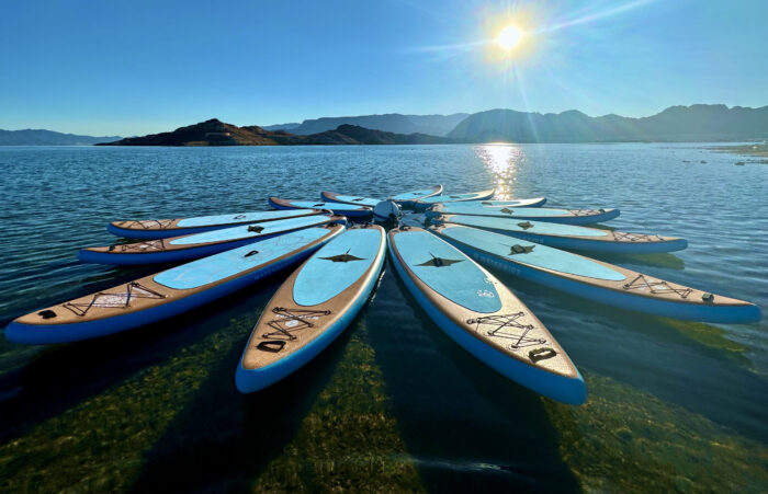lake mead paddle board rentals