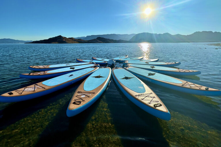lake mead paddle board rentals