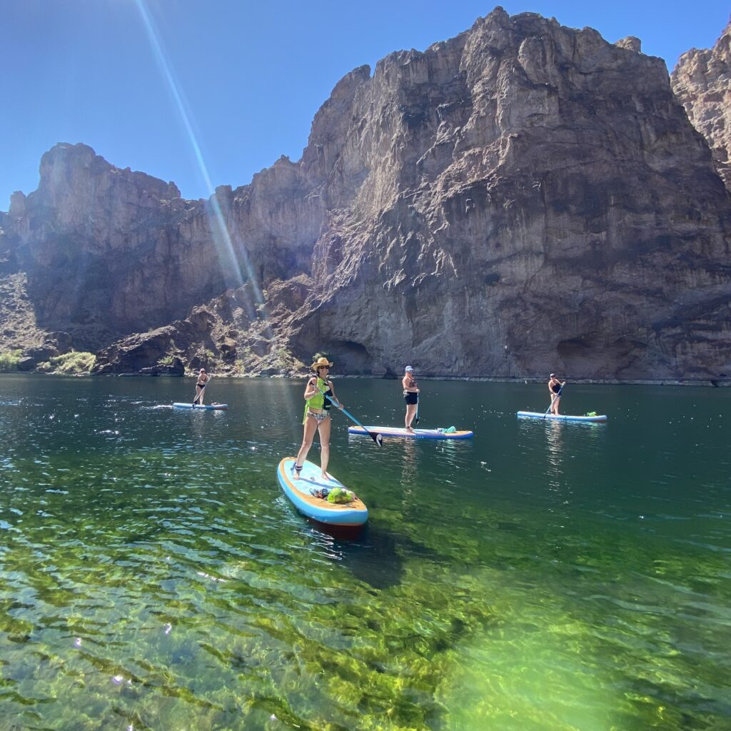 best things to do paddle boarding at willow beach