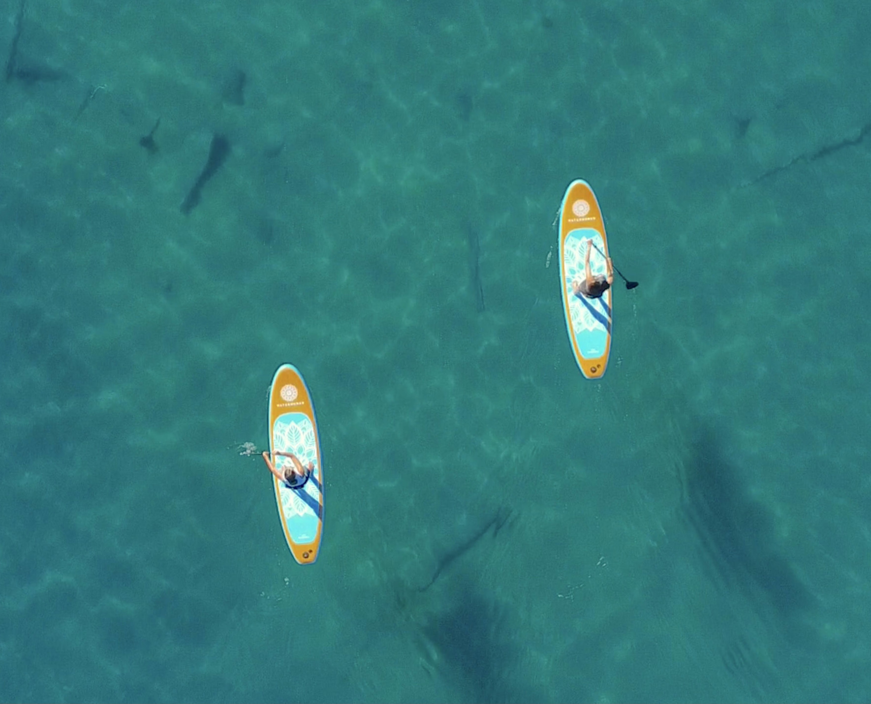 learn how to paddle board at lake mead with a paddle board lesson